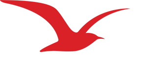logo ancv
